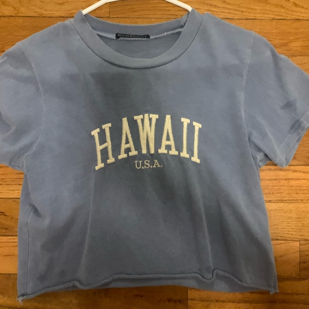 BRANDY MELVILLE HAWAII CROP TOP/BABY TEE/T-SHIRY